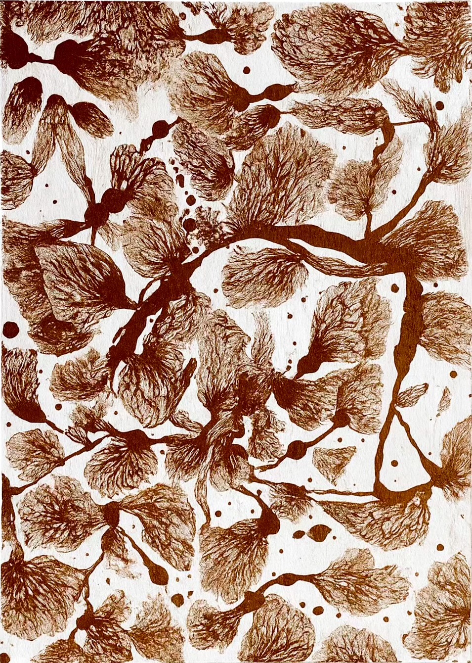 Sepia Botanical Study